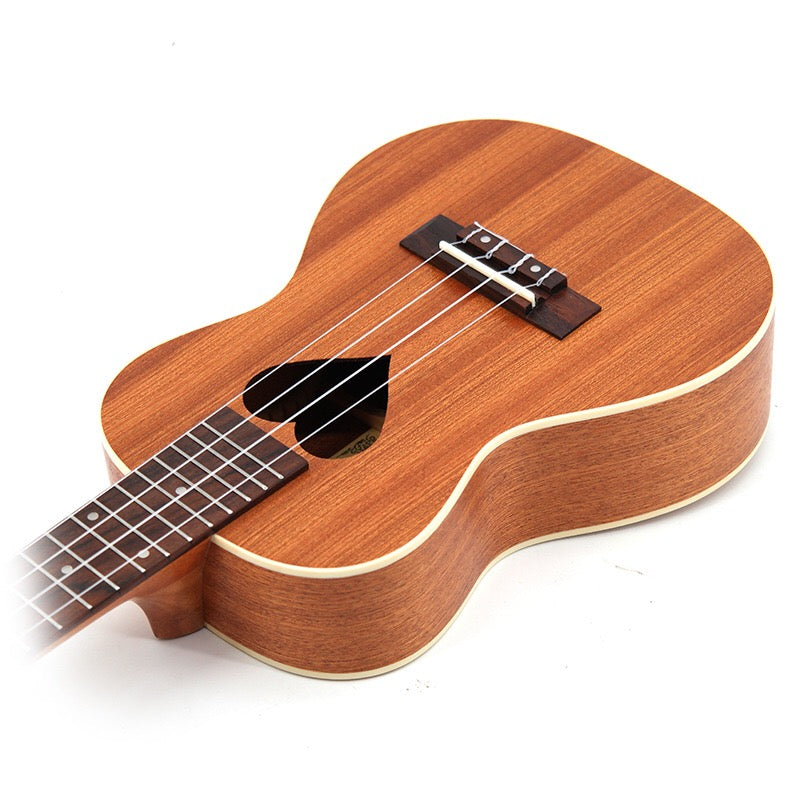 Укулеле Концерт Сапеле Тип А